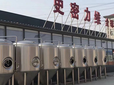 册亨精酿啤酒设备厂—如何判断精酿啤酒设备的密封件需要更换？